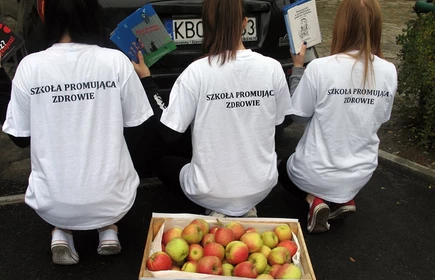 Promujemy zdrowie 2015 2